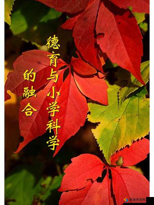融为一体到底有多舒服:探究其背后的深层意义与体验