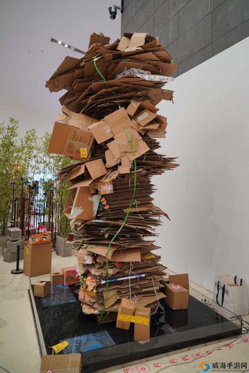 央美毕业展作品遭吐槽废纸壳 专家观点引关注