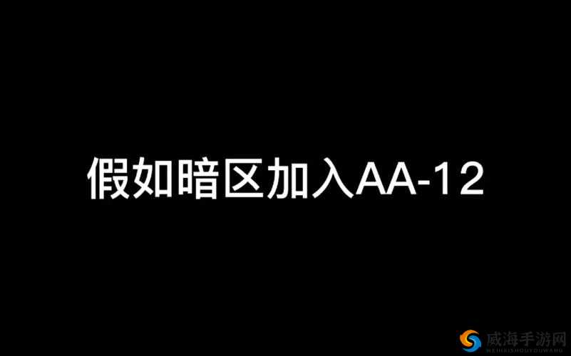 AA 区和 VA 区之间是黑边吗:关于这一问题的深入探讨与研究
