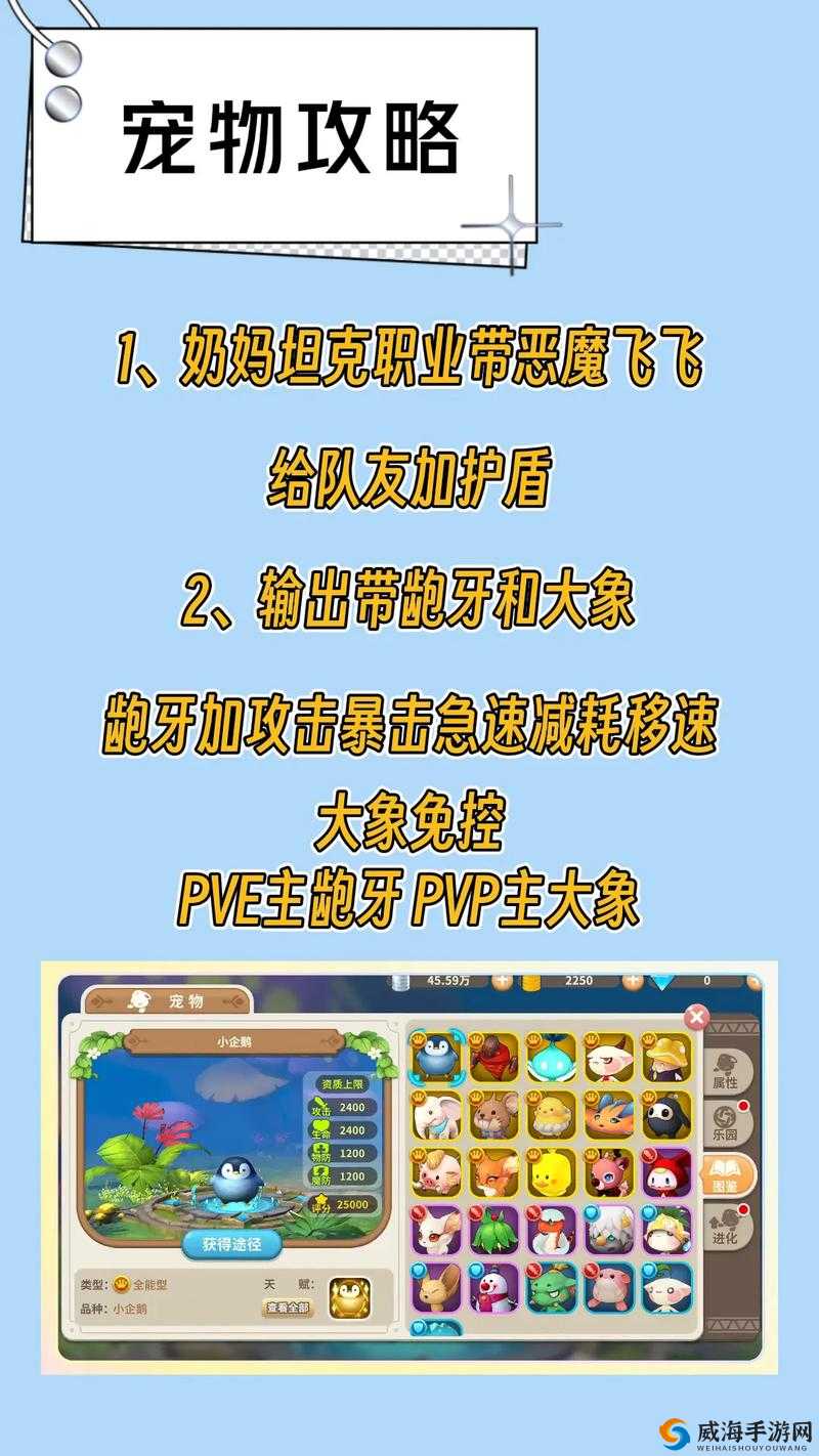 光明勇士术士，暴力输出的魔法大师