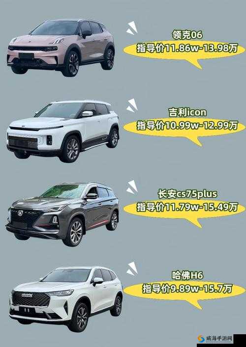 国产 SUV 在欧洲市场备受青睐，成为热门之选