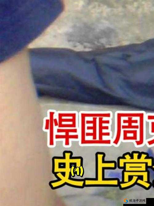 155FNN 热点黑料：揭秘背后不为人知的真相内幕