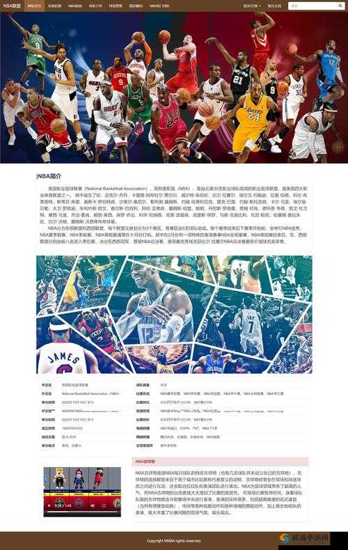 成品网站源码的用途是什么：深度解析其多样价值