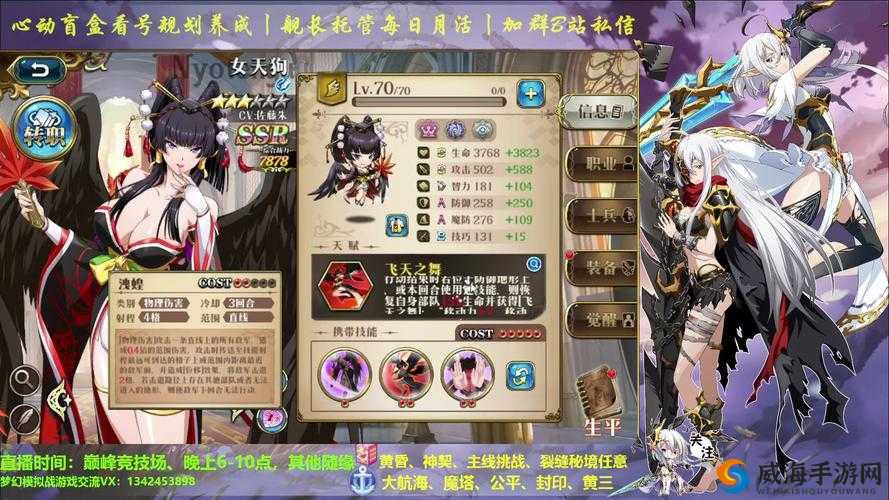 梦幻模拟战露娜毕业装推荐与装备搭配策略