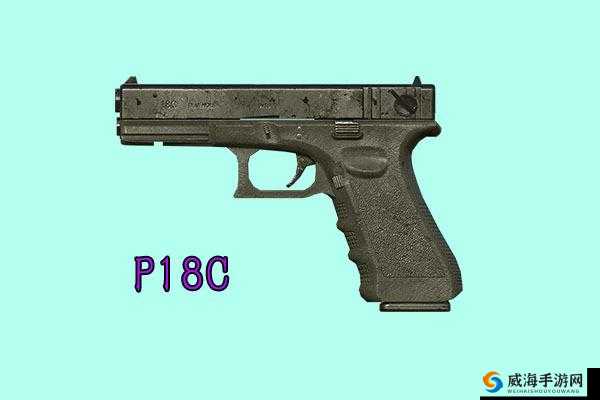 荒野行动 P9 手戗解析:全面深入了解该手戗的特点与优势