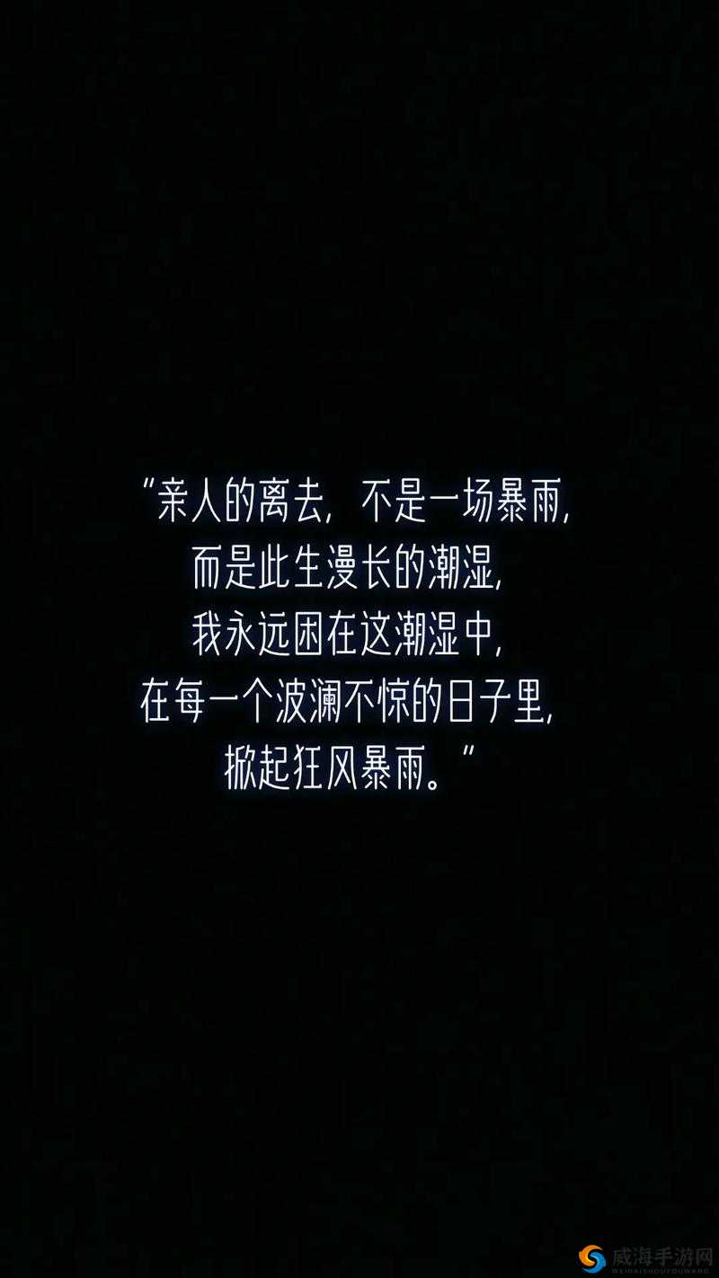 能让我流水水的一千字:探寻文字背后的情感波澜
