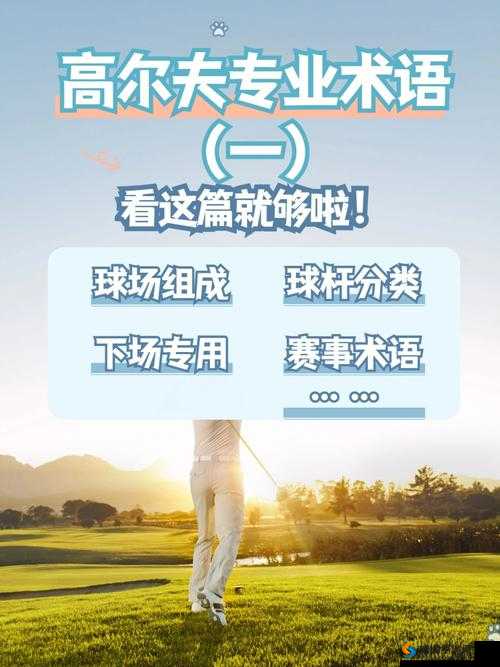 我成了大家的高尔夫球洞：一段奇特经历的开始