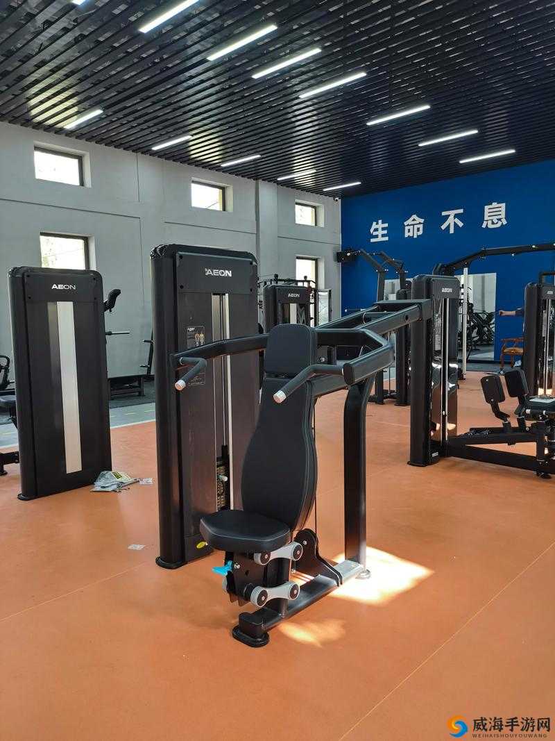 健身器材之上的独特做 NP体验探讨