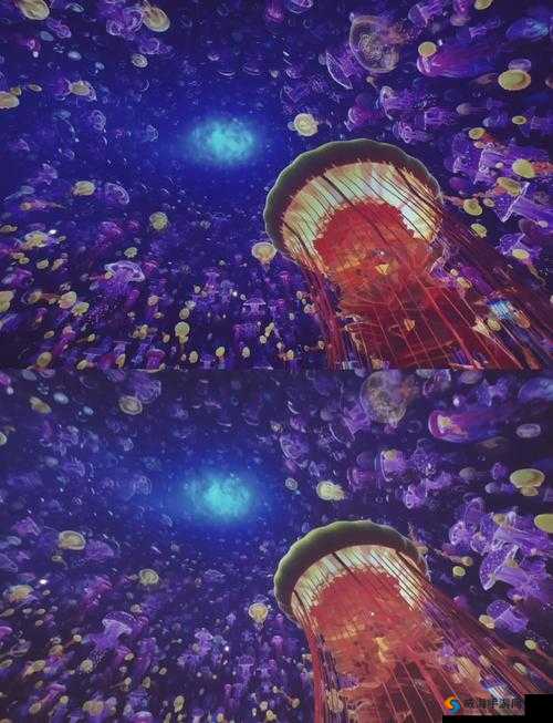 一线二线三线天堂的奇幻之旅：探寻别样世界的奥秘