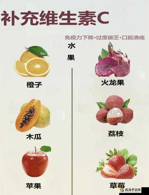 成年人必备：探索水果与蔬菜的别样世界