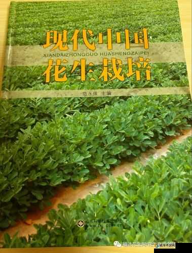 99 精产国品一二三产区区别电影：不同产区的精彩呈现