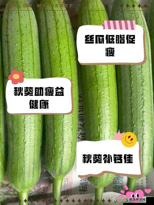 榴莲黄瓜秋葵丝瓜蕾丝最新版：探索多元性爱的奇妙世界