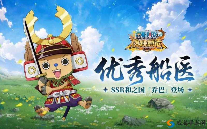 航海王燃烧意志乔巴怎么样，SR坦克乔巴深度点评