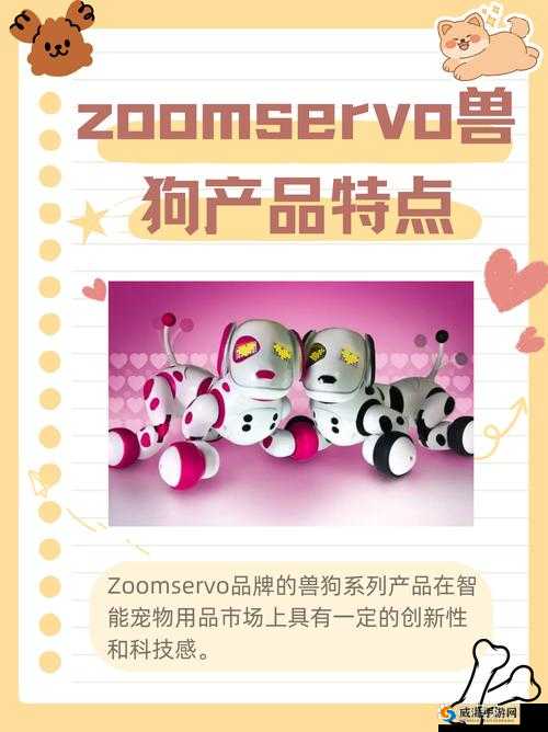 兽王ZOOMSERVO 兽狗产品优势：引领宠物用品新潮流