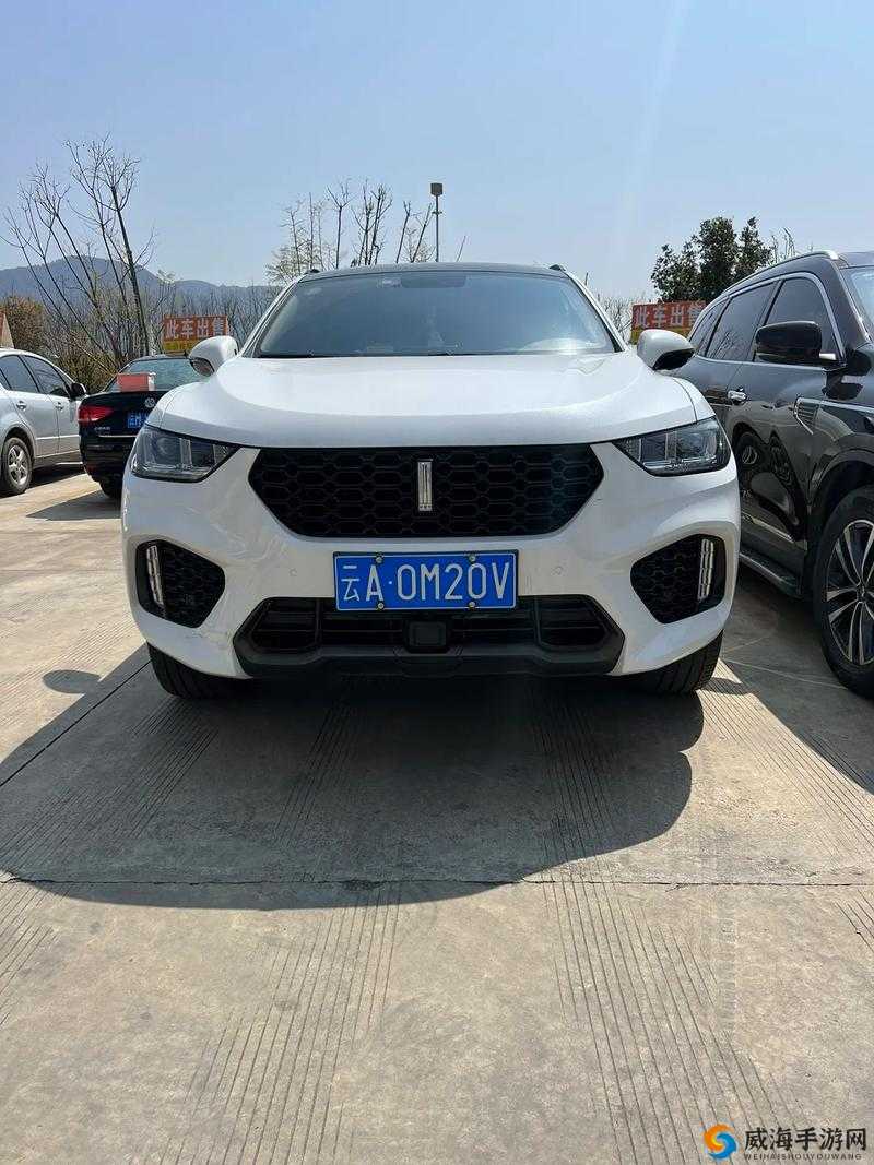 weyvv5 国产豪华 suv，实力演绎何为极致性价比