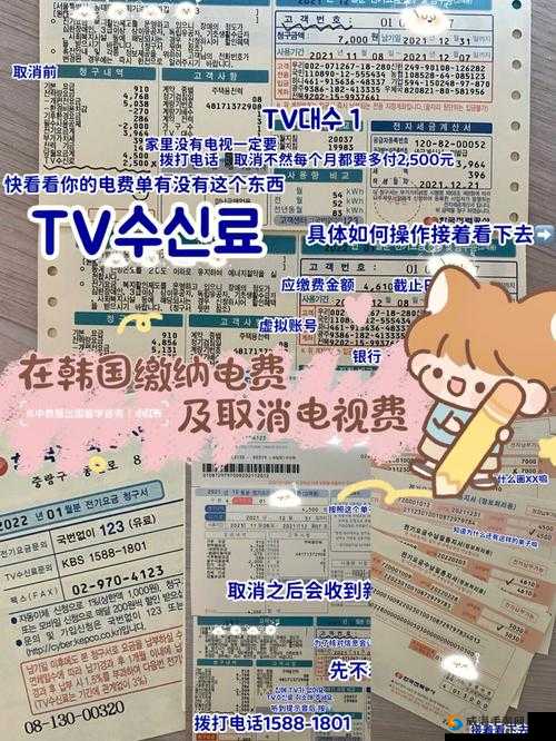 好看的韩国三色电费引发的相关探讨