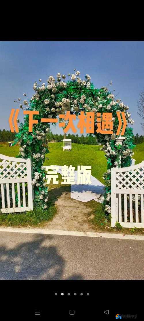 天天想你，今夜无人入眠杨光：深情演绎触动心弦
