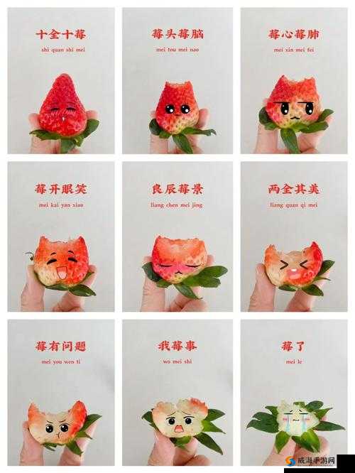 草莓洞洞榨汁法：一种独特的水果处理方式探讨