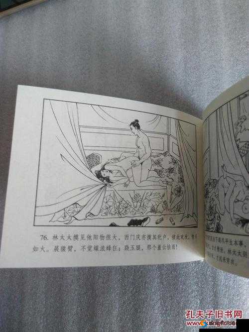 林太太府中逢甘雨:一场特别的相遇与故事展开