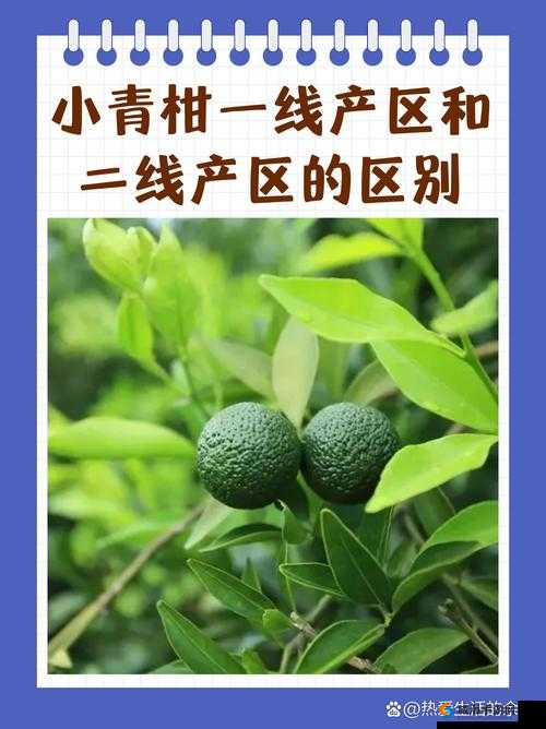 小青柑一线产区和二线产区的区别-两者在品质口感等方面的差异分析