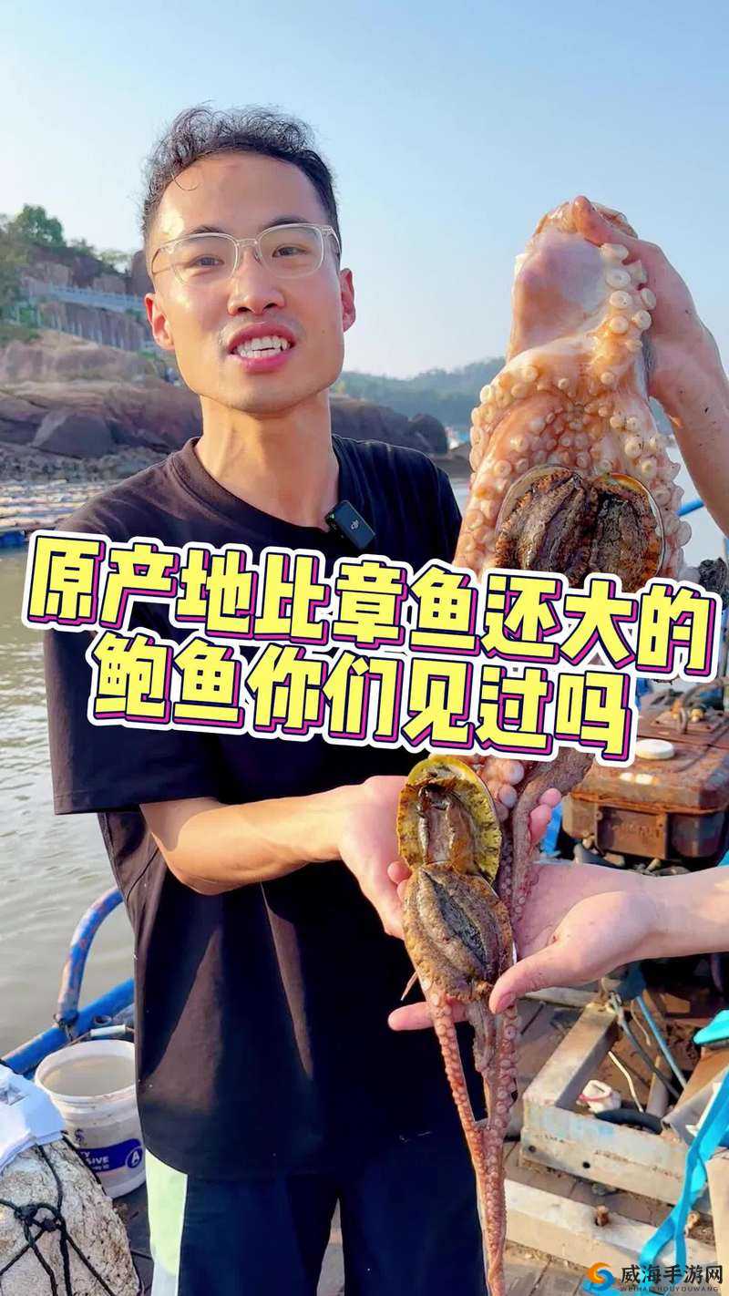鲍鱼直播:一场独特的美食直播盛宴