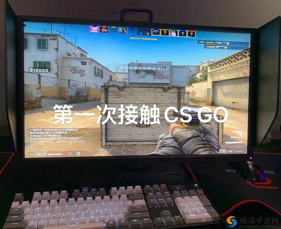 55 岁大妈玩的 CSGO 背后故事：一段不寻常的游戏之旅