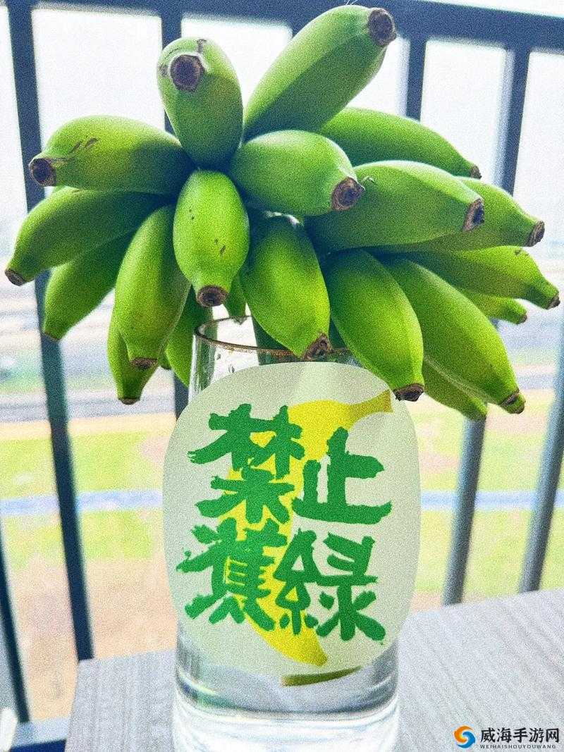 香蕉与忘忧草如何影响焦虑：缓解焦虑的神奇组合