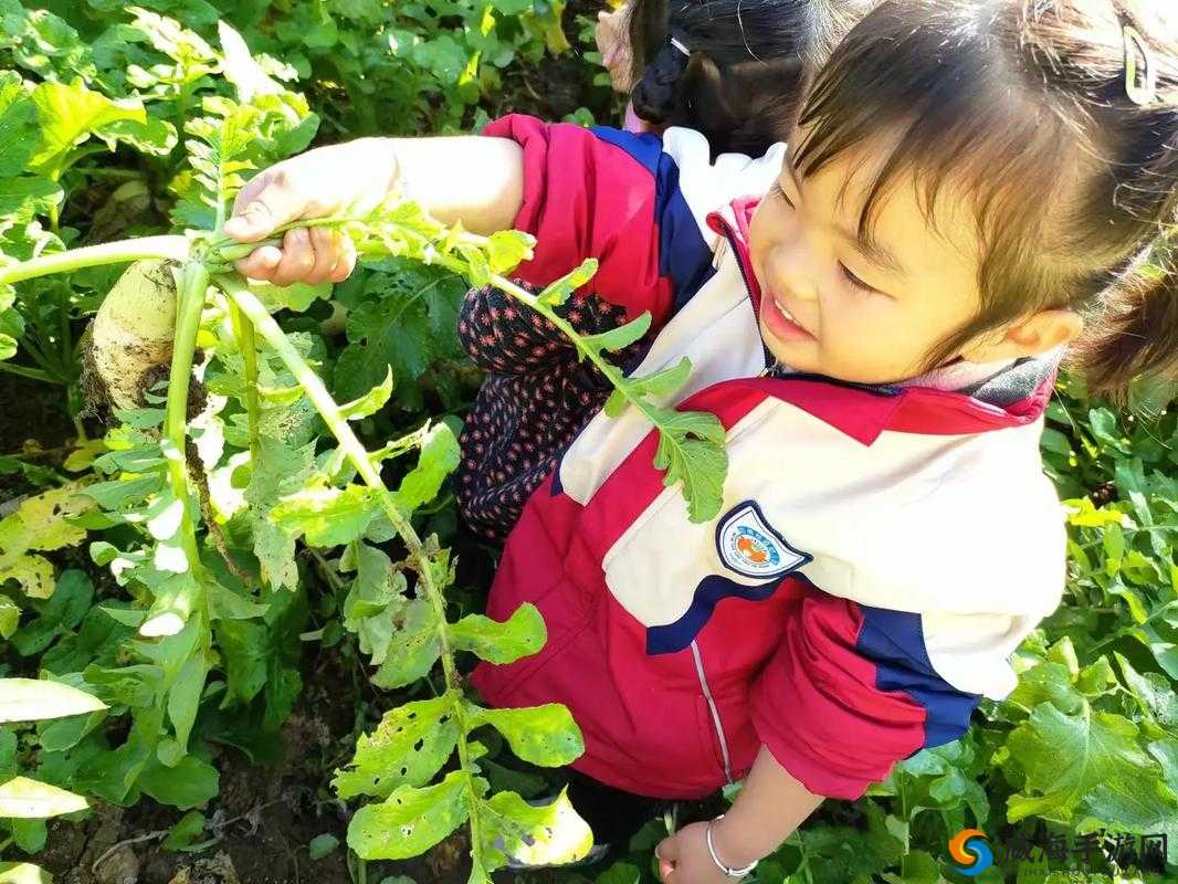 一小孩半夜和妈妈摘萝卜：体验独特的亲子田园时光