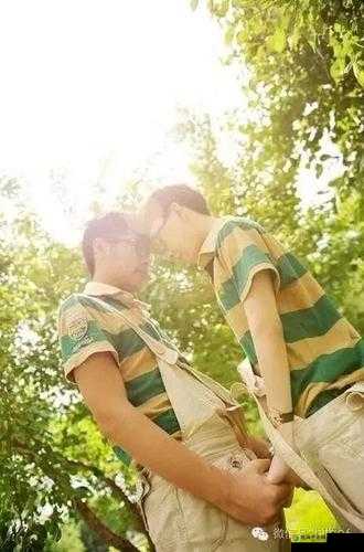 WWW 国产男男 GAY 片：探索中国同志文化的新视角