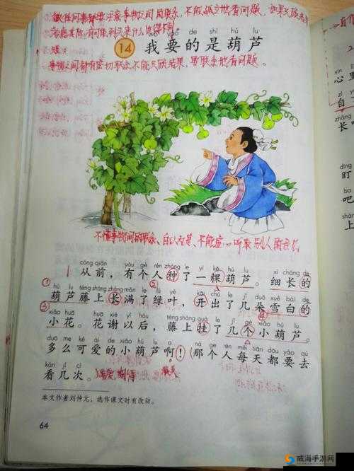 葫芦里面不卖药千片万片你需要：探寻葫芦的奥秘