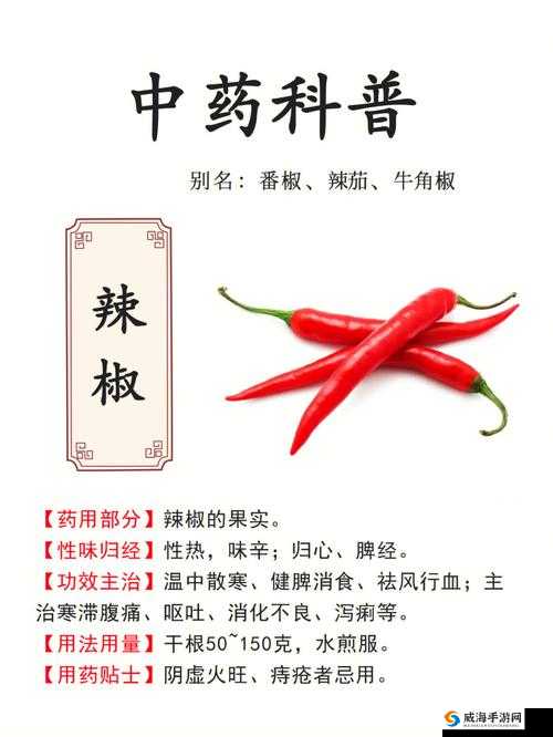 成品大香蕉煮小辣椒:滋补养生又驱寒暖胃的独特功效