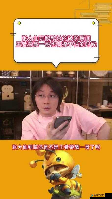 王者荣耀张大仙，岁月真不愧是把杀猪刀