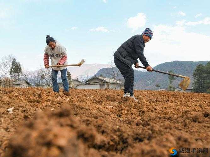 在母亲肥沃的土地上开垦:探索教育的新路径