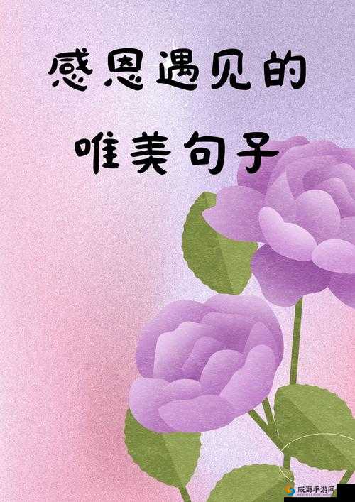 玉女桃花轻蜜粉 K03 内容意外的丰富：让你美丽加分