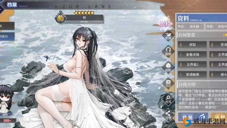 碧蓝航线SSR新舰娘大凤形象，玩家新老婆确定在游戏资源管理中的重要性与策略