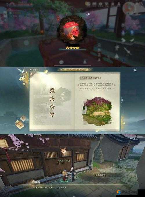 丐帮豪杰的宠物奇缘,神雕侠侣2中的外功宠物优选