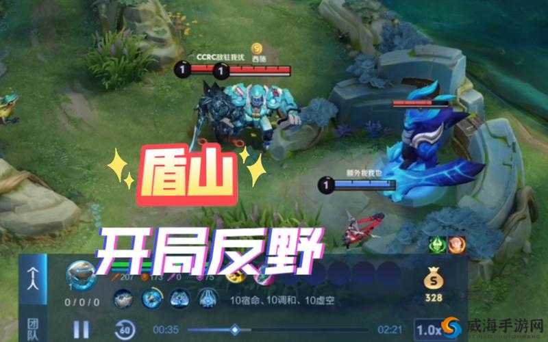 王者荣耀，刺客英雄的崛起与盾山的挑战
