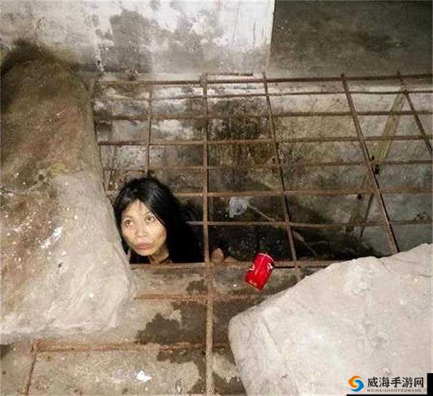 女性被囚禁在暗无天日的地下室,遭受非人的虐待和寝犯