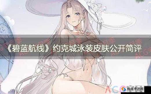 碧蓝航线泳装皮肤大盘点,女灶神泳装待实装在资源管理中的重要性及策略