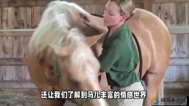 人与马的黄 片软件相关内容引发热议探讨