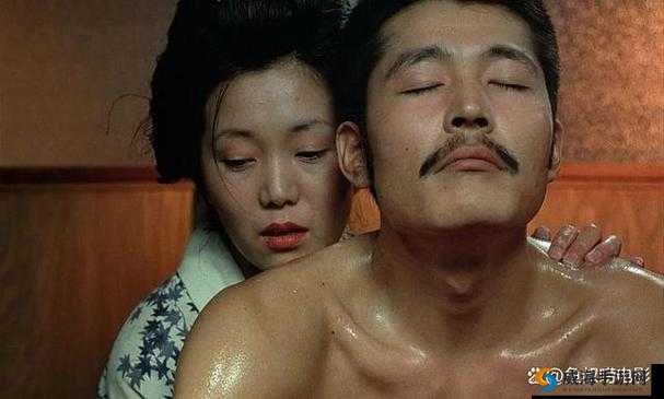 日韩璜铯 AV：成年人影片的争议与探讨