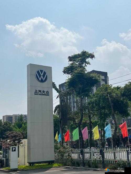 4s4s4s4s 色大众:关于其独特魅力与市场表现的深入探讨