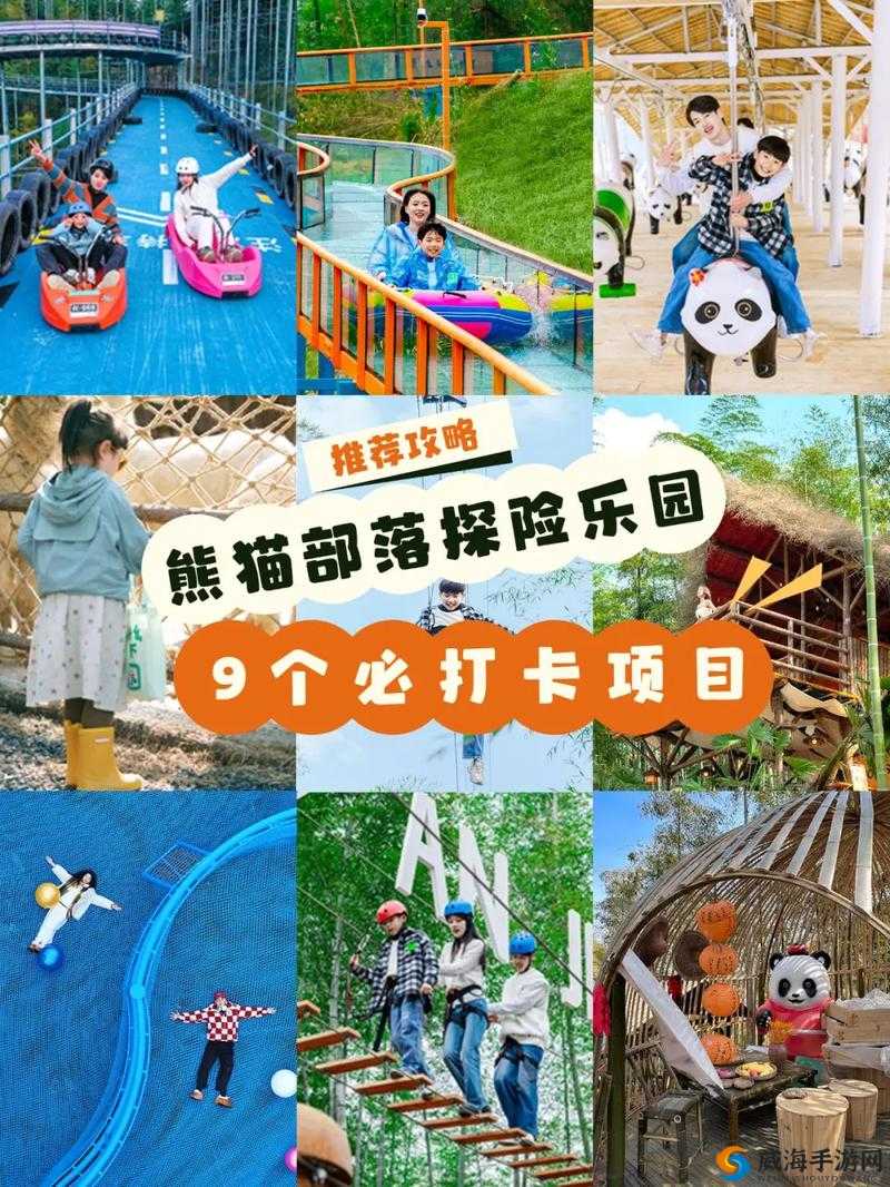 ZOOMSERVO 幼儿:开启奇妙成长之旅