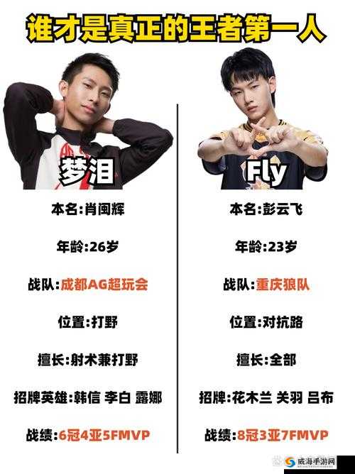 王者荣耀梦泪加入TOP战队基本确定，AG面临解散危机下的资源管理艺术