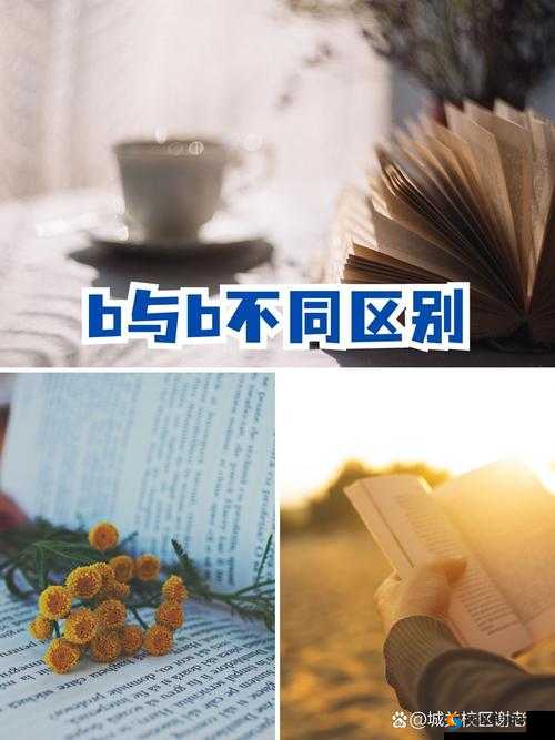 B 与 B 的不同之处究竟体现在哪些方面呢