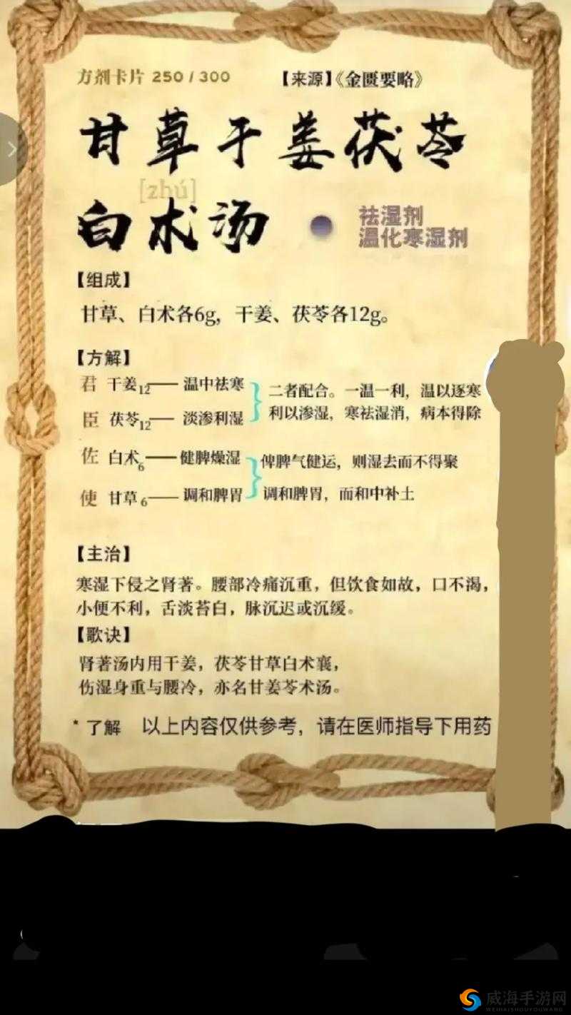 中医老王和小雨的祛蝳之路:探究传统医学的奥秘