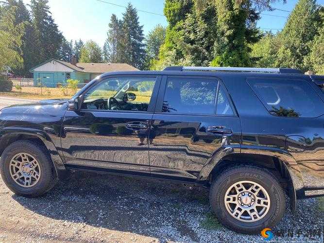 4 虎 cvt4wd 入口：探索未知的世界
