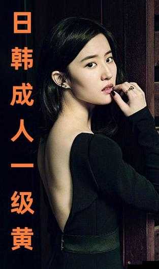 日韩一级璜铯大片：成年人影片的别样世界