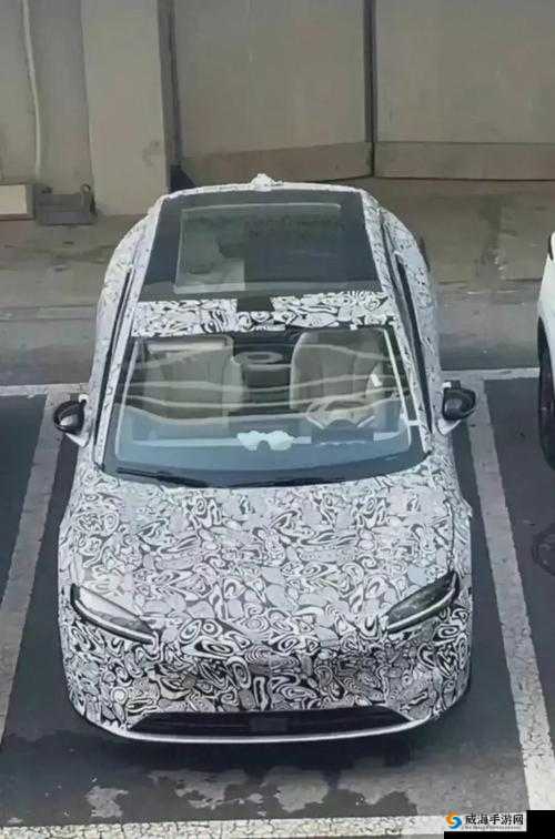 x7x7x7 任意噪水:探索其独特魅力与无限可能