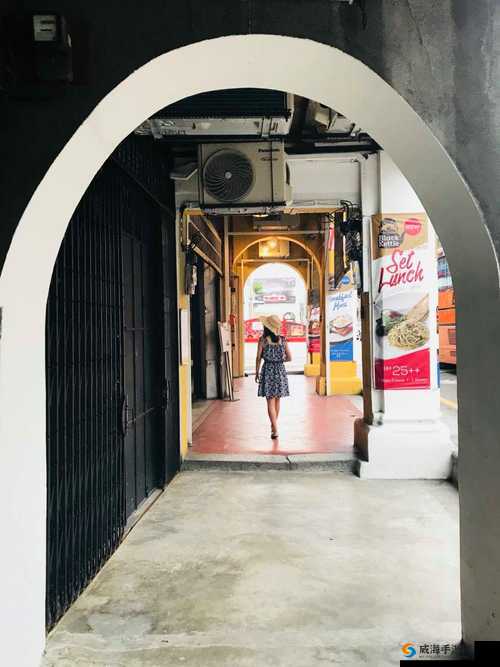 小马拉大车仙踪林:特色引领别样体验与风情